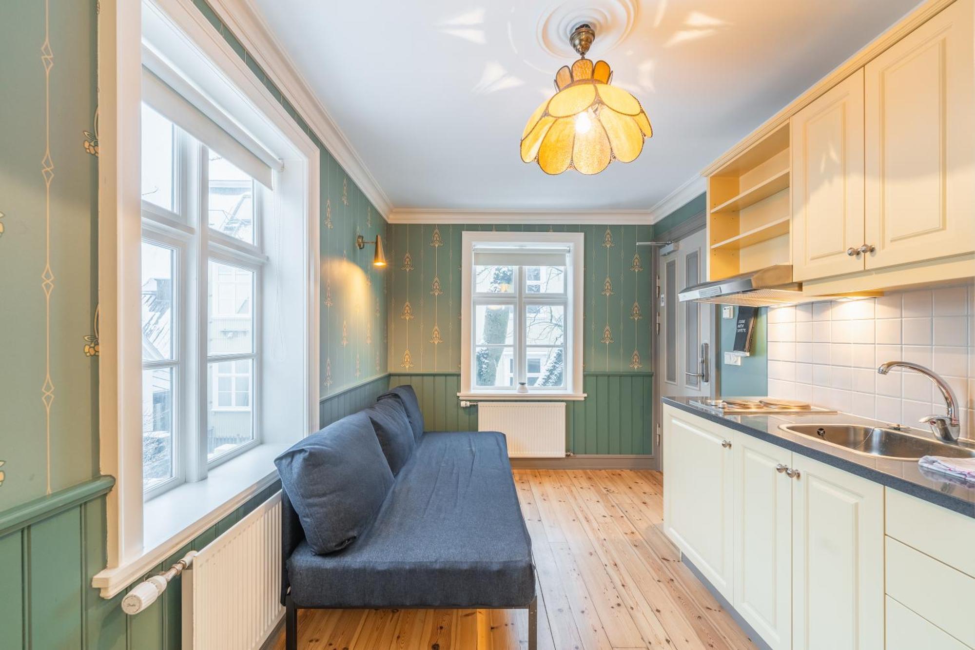 Day Dream Historical Grjotagata 4 Apartment Reykjavik Bagian luar foto